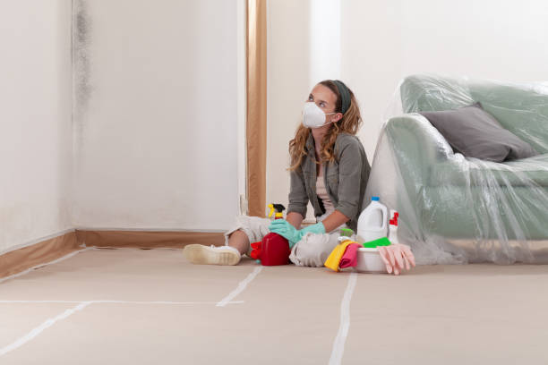 Reliable Mold Inspection contractor in Springfield, IL by WQB Mold Removal